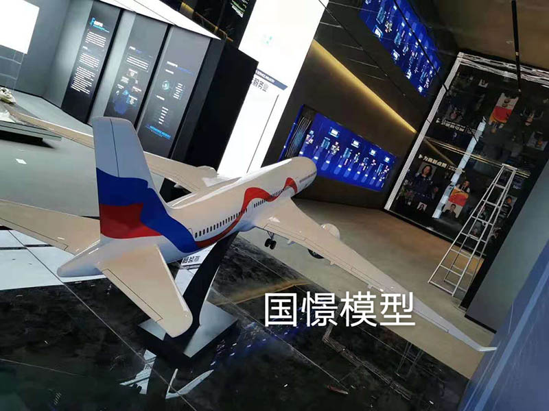 刚察县飞机模型
